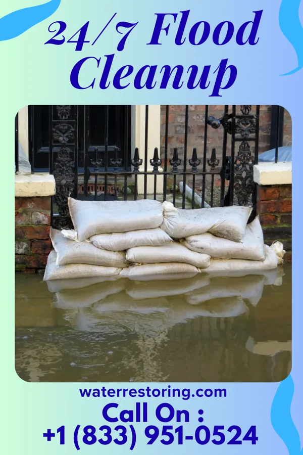 24/7 Flood Cleanup in Waverly, MN