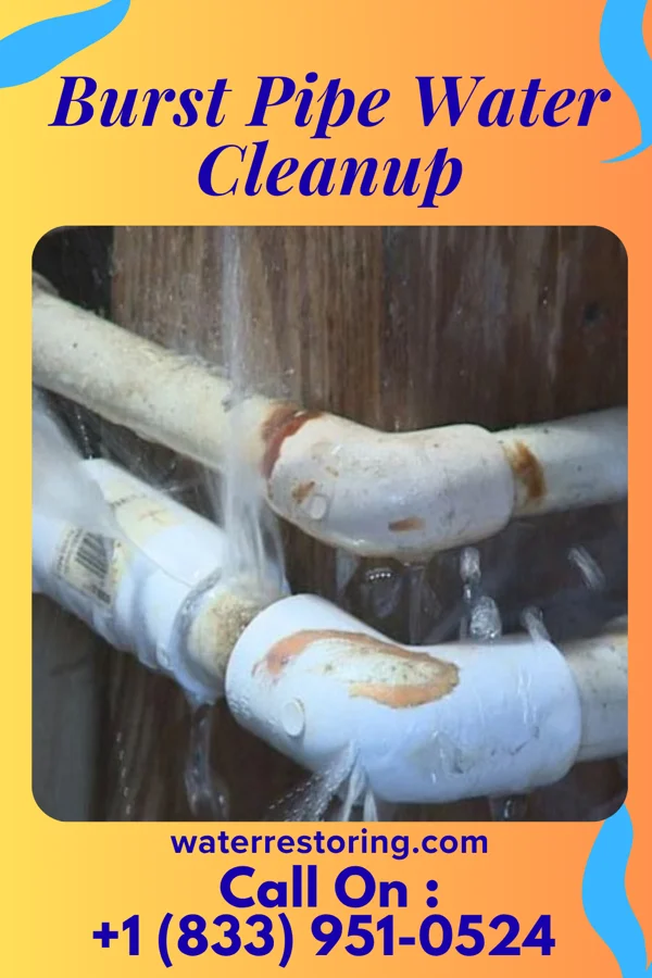 Burst Pipe Water Cleanup in Waverly, MN