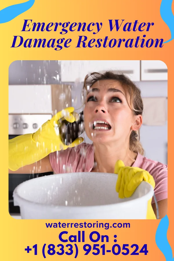 Emergency Water Damage Restoration in Waverly, MN