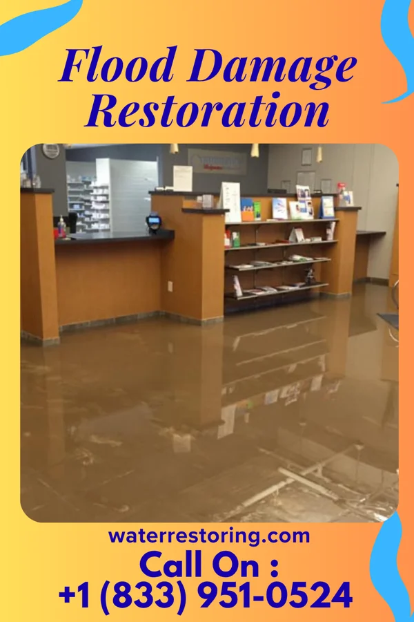 Flood Damage Restoration in Waverly, MN