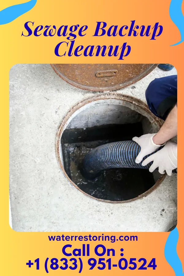Sewage Backup Cleanup in Waverly, MN