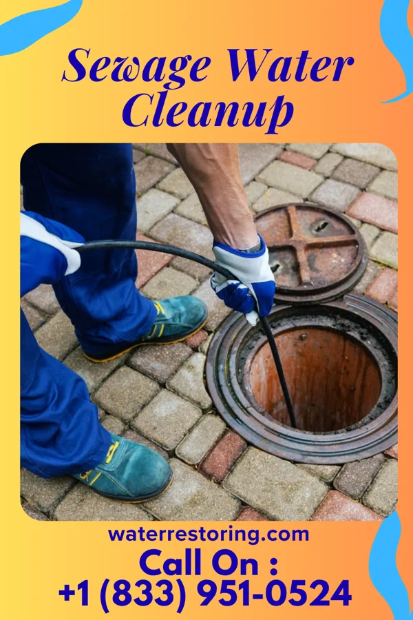 Sewage Water Cleanup in Waverly, MN