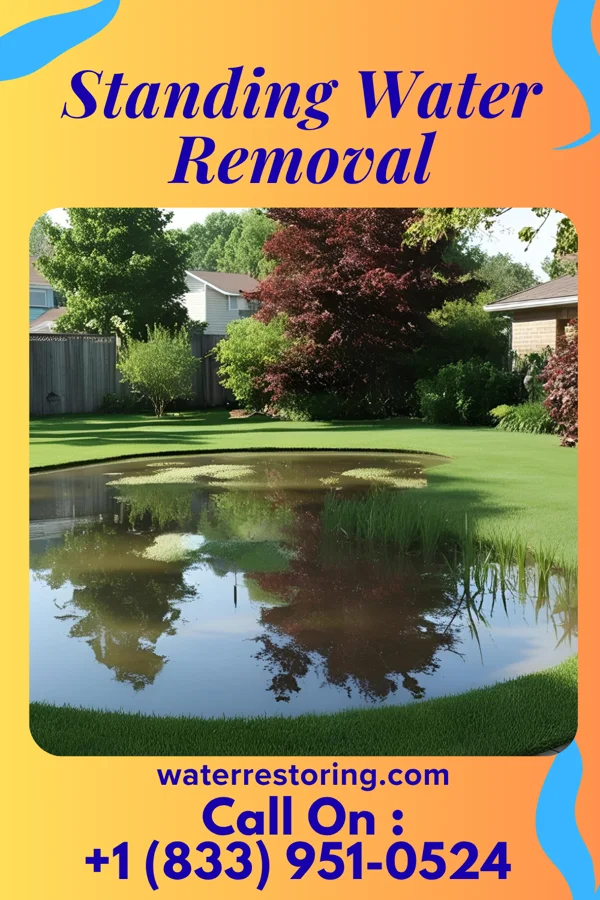 Standing Water Removal in Waverly, MN